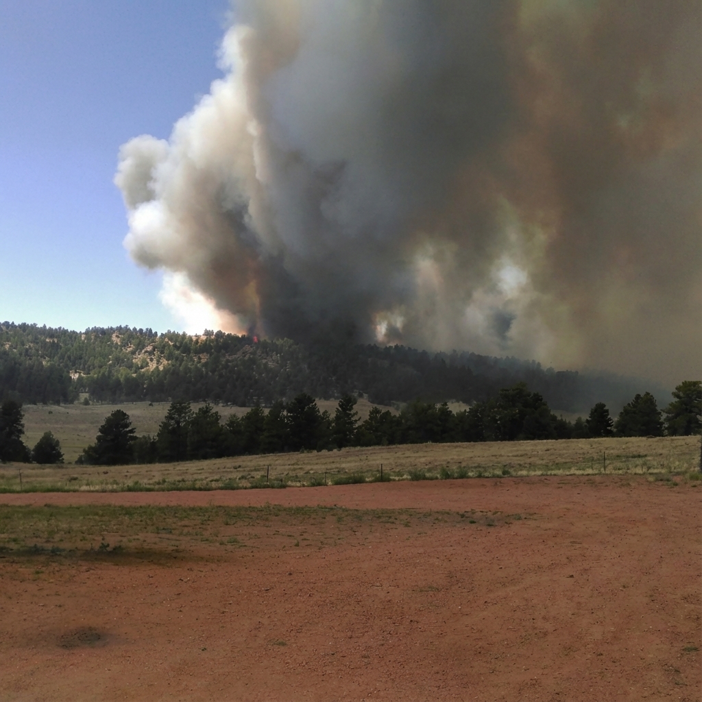 Fire Management Experience